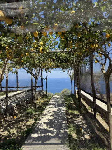Capri_ Limoni Pergola