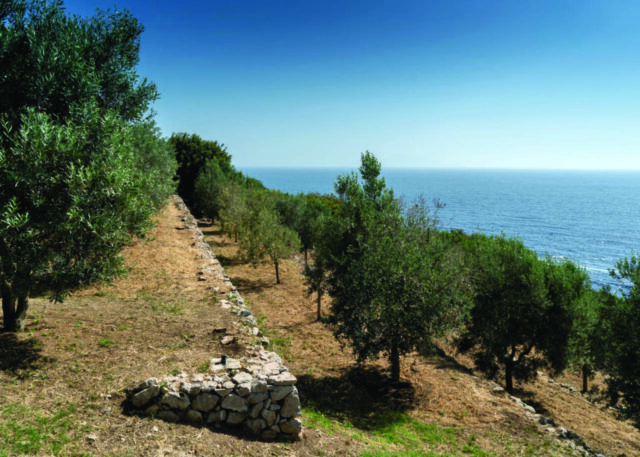 Capri_terraces