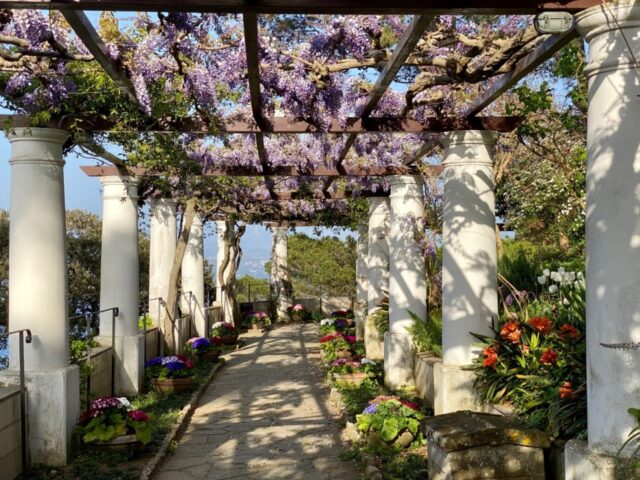 Capri_ Villa San Michele_Pergola