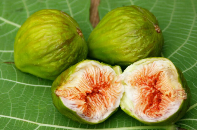 Cosenza Fig DOP