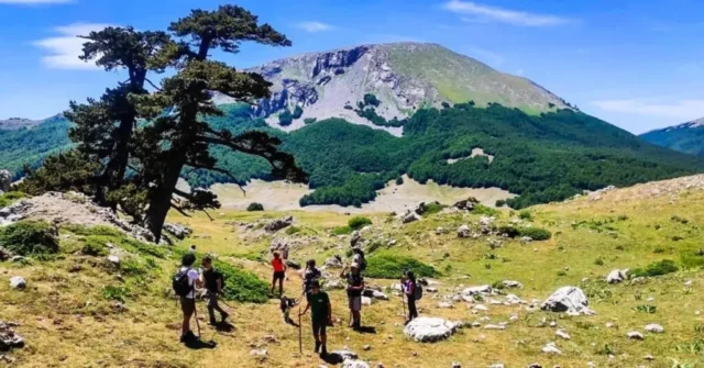 Pollino National Park