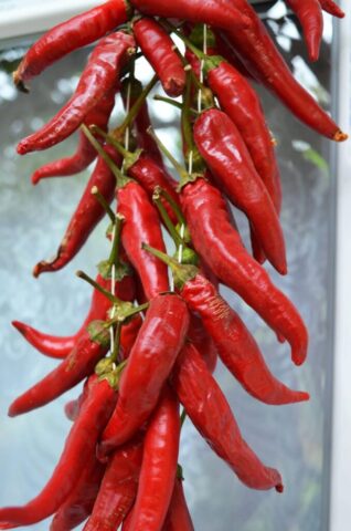 Calabrian Red Pepper
